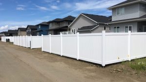 Read more about the article Why Canadian Fence Contractors Are Switching to Vinyl in 2026